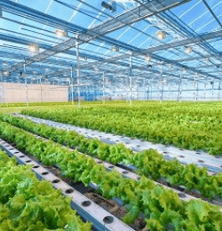 Greenhouse application
