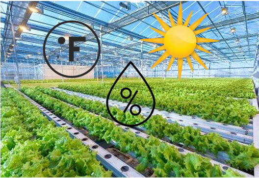 Greenhouse monitoring case study